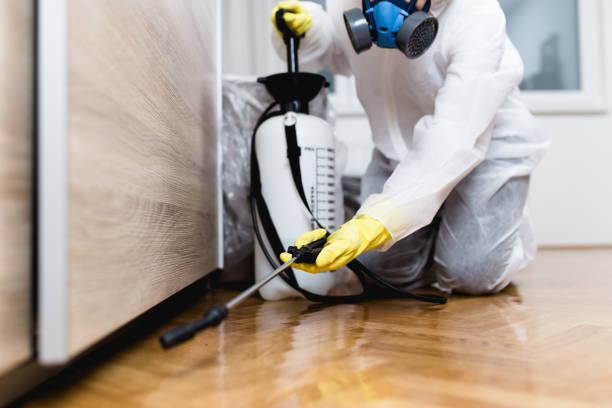 Best Mosquito Control Services  in Virginia Gardens, FL