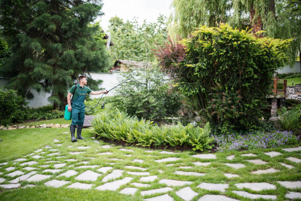 Best Pest Control Near Me  in Virginia Gardens, FL