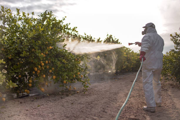 Best Pest Prevention Services  in Virginia Gardens, FL