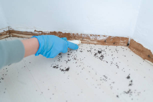 Best Pest Removal Services  in Virginia Gardens, FL