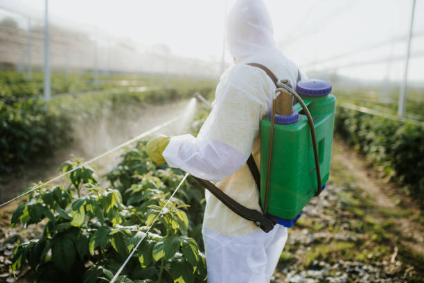 Best Exterminator Services  in Virginia Gardens, FL